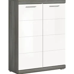 Hioshop Scout schoenenkast 2 deuren wit hoogglans Best