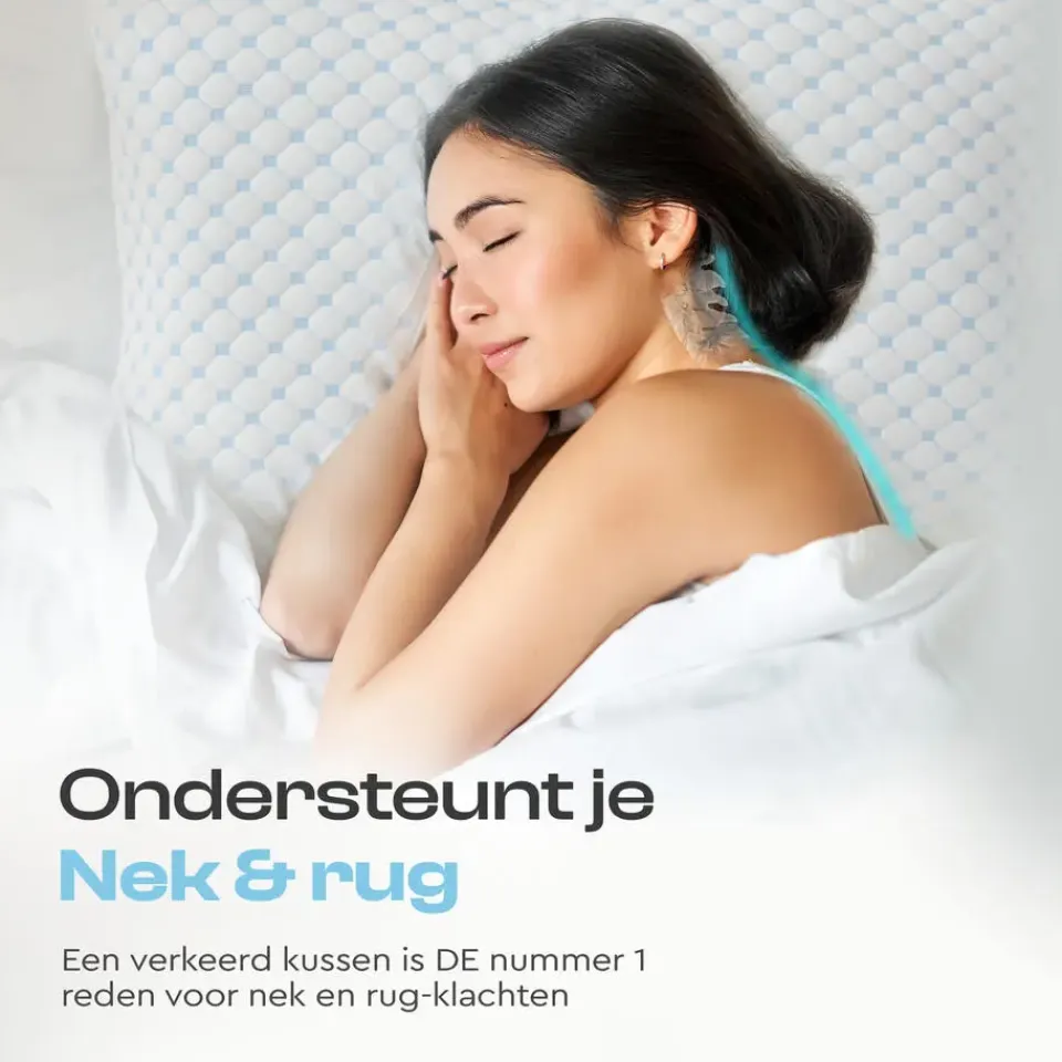 Dreamhouse Hoofdkussen – Memory Foam & Wasbare Hoes Online