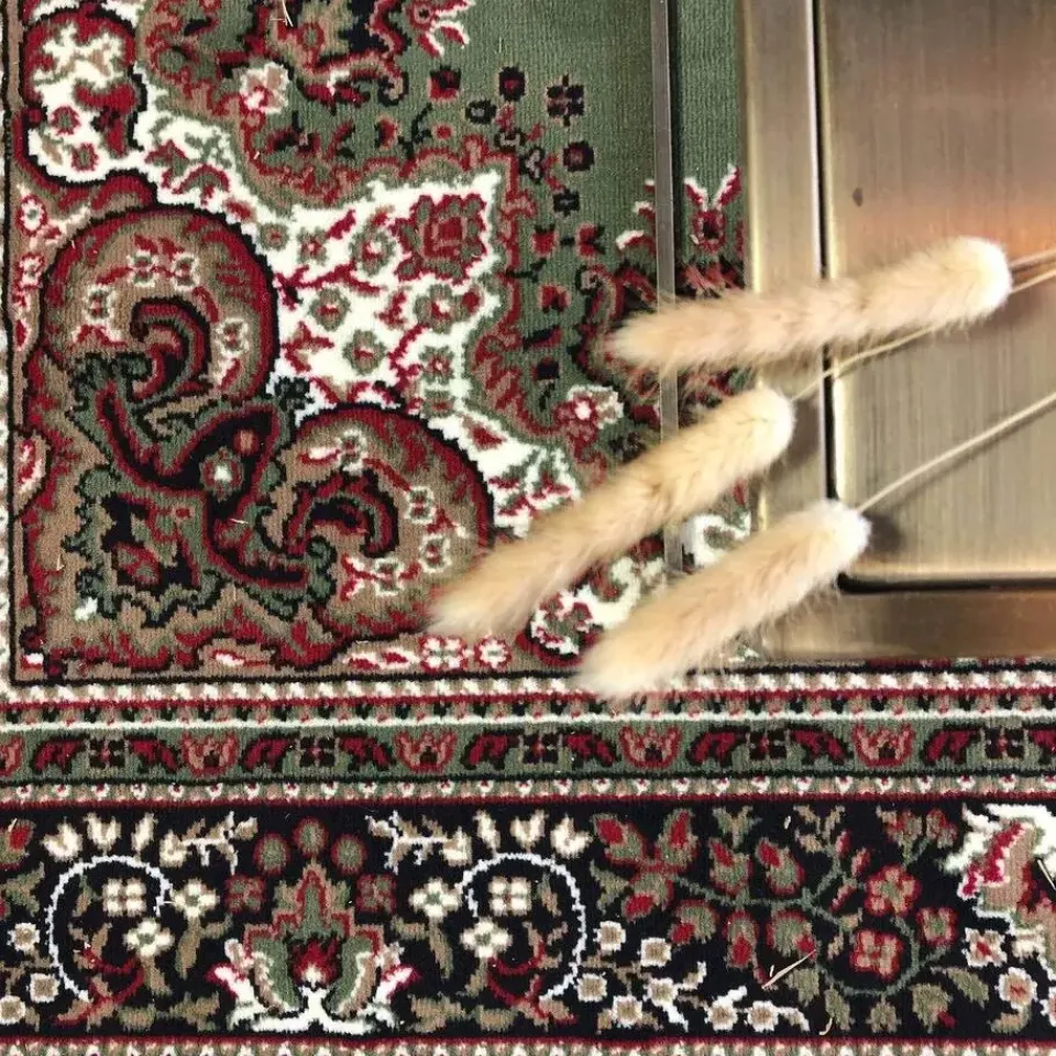 Interieur05 Eva Interior vintage Vloerkleed nain Perzisch Groen - 320 x 235 cm Hot