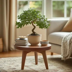 Plant in a Box Japanse lep - Zelkova serrata - Hoogte 20-25cm - ⌀15cm Outlet