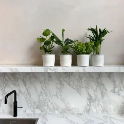 Plant in a Box Kamerplanten - Set van 4 - Areca Asplenium Clusia Musa - Hoogte 25-40cm - ⌀12cm