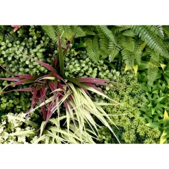 IVOL Kunsthaag wandpaneel - Mix blad B - 100x100 cm Discount