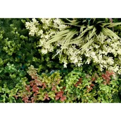 IVOL Kunsthaag wandpaneel - Mix blad A - 100x100 cm Hot