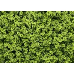 IVOL Kunsthaag wandpanelen - Mospaneel heldergroen - 100x100 cm Sale