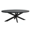 Livingfurn - Eetkamertafel Kala Oval Spider 160cm - Mangohout / Gecoat Staal Clearance