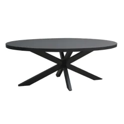 Livingfurn - Eetkamertafel Kala Oval Spider 160cm - Mangohout / Gecoat Staal Clearance