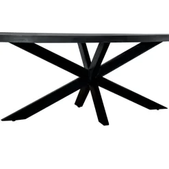 Livingfurn - Eetkamertafel Kala Oval Spider 160cm - Mangohout / Gecoat Staal Clearance