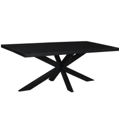 Livingfurn - Moderne Zwarte Eetkamertafel - Spider - Mangohout - 180 cm Hot
