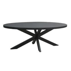 Livingfurn - Zwart Ovale Eetkamertafel - - Mango Hout - 210 cm Online