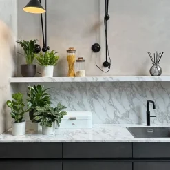 Plant in a Box Luchtzuiverende kamerplanten - Set van 5 - Hoogte 25-40cm - ⌀12cm Discount