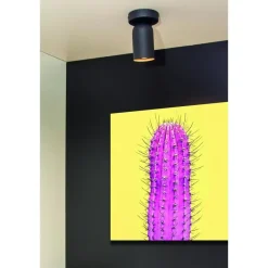 Lucide PUNCH Plafondspot - Zwart Online