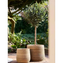 House Nordic Mand Naturel Rotan - Set Van 2 - Moro Kubu Online