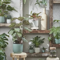 Mica Decorations - Plantenpot - Keramiek wit - 12 x 11 cm Outlet