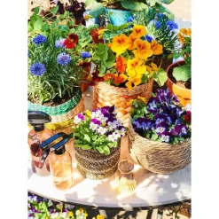 Mica Decorations Bloempot - rotan - naturel - jute - 24 x 26 cm Best