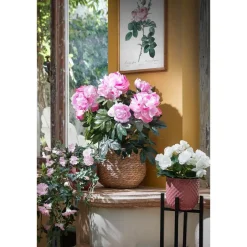 Mica Decorations Bloempot - rotan - naturel - jute - 24 x 26 cm Best