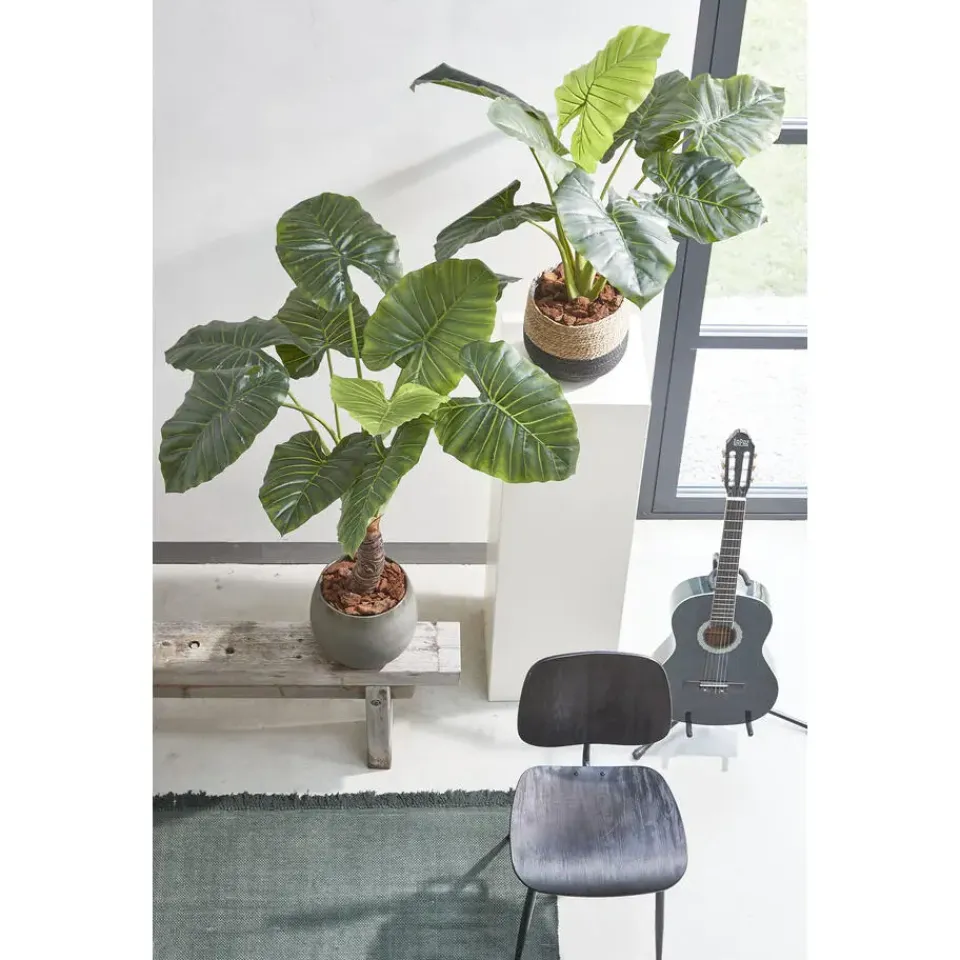 Mica Decorations Jorck Mand voor Planten - Set van 3 - Zwart Hot