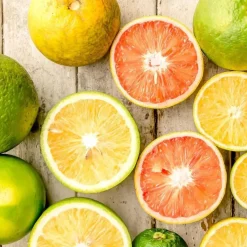 Plant in a Box Mix fruitbomen - Set van 3 - Citrus limon - Hoogte 25-40cm - ⌀9cm Online