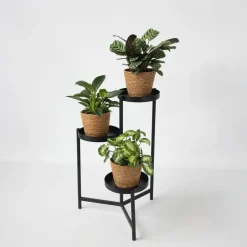 Plant in a Box Mix van 3 kamerplanten incl. mandjes - Hoogte 25-40cm - ⌀12cm Discount