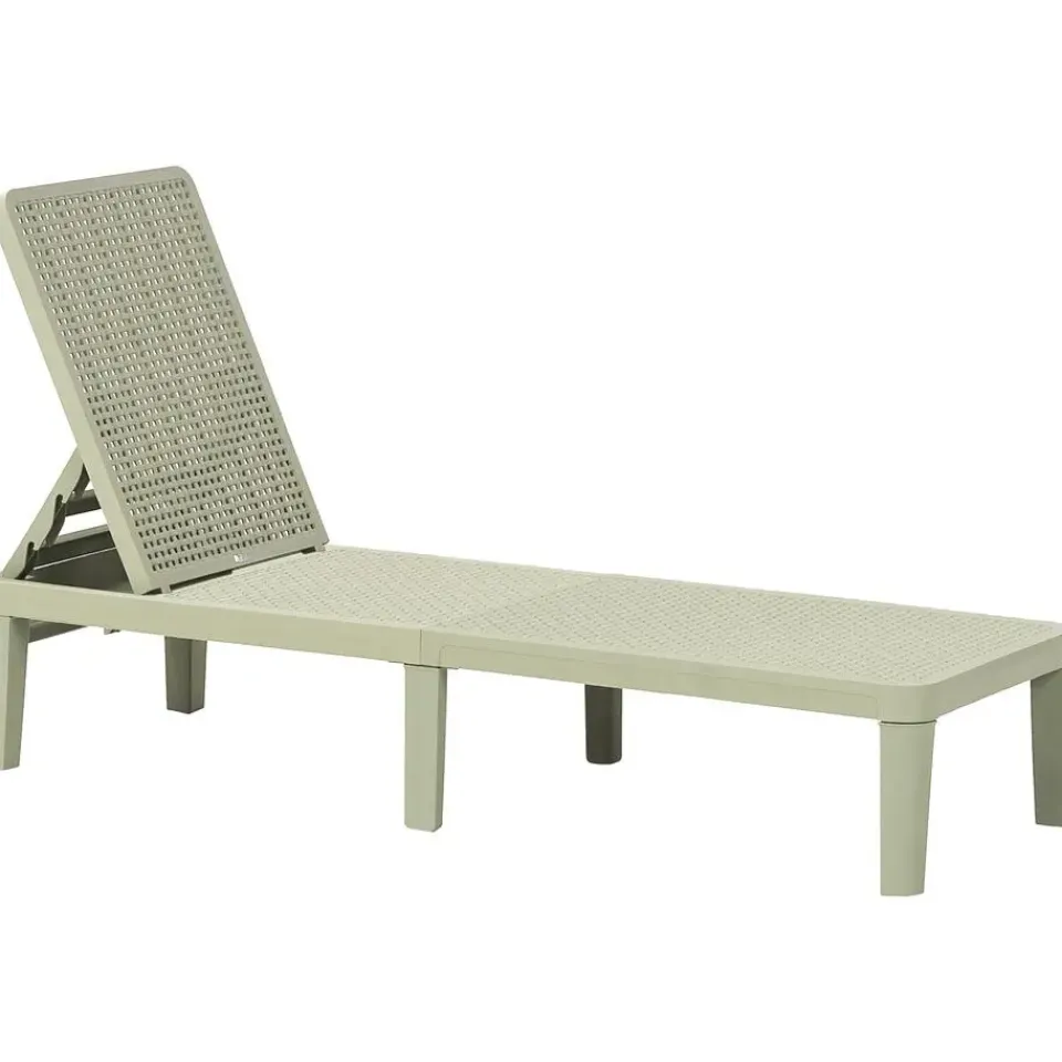 Leen Bakker OSSI - Ligstoel - Lichtgroen - Polypropyleen Discount