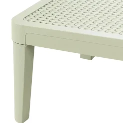 Leen Bakker OSSI - Ligstoel - Lichtgroen - Polypropyleen Discount