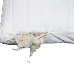 Polydaun hoofdkussen First Kapok - 60x50 cm Online