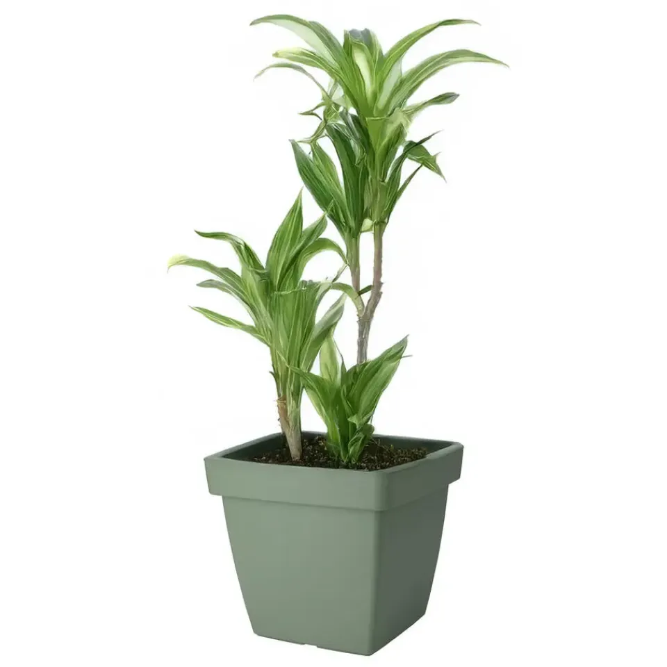 Pro Garden Plantenpot - groen - D39 x H35 cm - kunststof Best