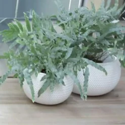 Prosperplast Bloempot Splofy - wit - 4 l - 29 cm Best