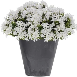 Prosperplast plantenpot - kunststof - antraciet - D40 x H37 cm Clearance