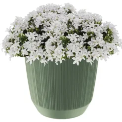 Prosperplast Plantenpot - stripe - olijfgroen - D20xH17 cm New