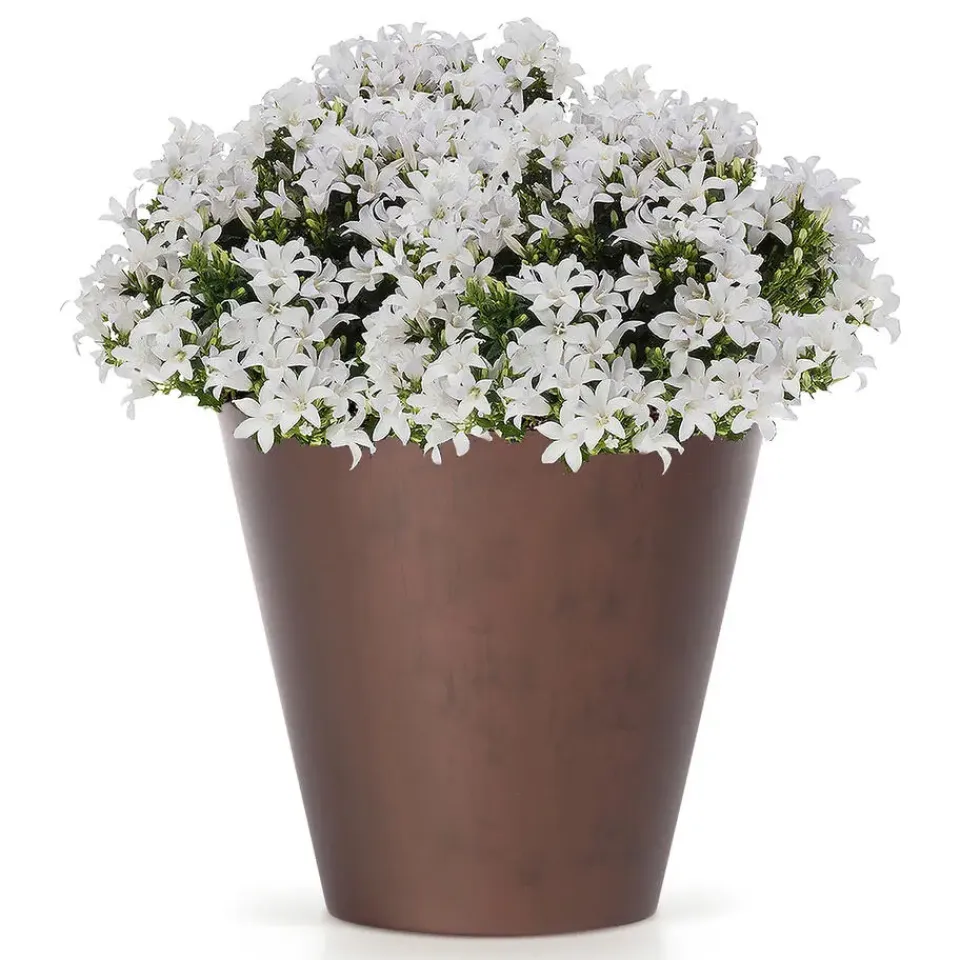 Prosperplast plantenpot - kunststof - brons - D30 x H28 cm New