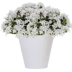 Prosperplast plantenpot - kunststof - brons - D40 x H37 cm Online