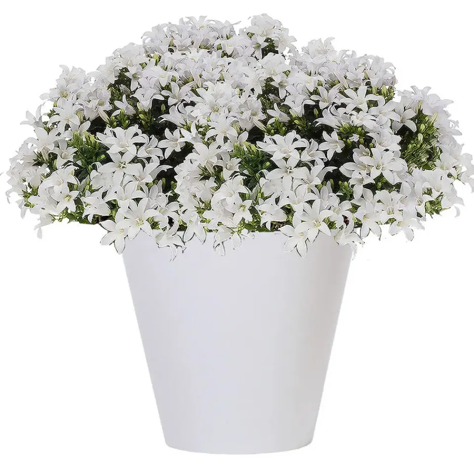 Prosperplast plantenpot - kunststof - brons - D40 x H37 cm Online