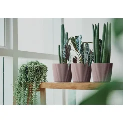 Prosperplast Plantenpot Buckingham - antraciet - D39 cm Online