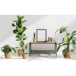 Prosperplast Plantenpot Buckingham - ivoor wit - D39 cm Outlet