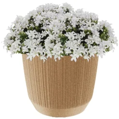 Prosperplast Plantenpot Eco - stripe - beige - D20xH17 cm Clearance