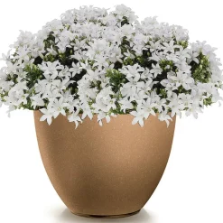 Prosperplast Plantenpot Sevilla - kunststof - hout/beige - D39 cm Clearance