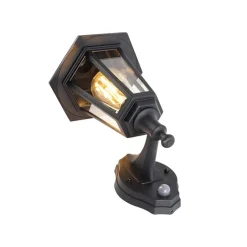 QAZQA buitenlampen met sensor new haven zwart e27 Hot