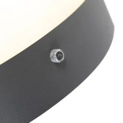 QAZQA buitenlampen met sensor emmerald grijs e27 Hot