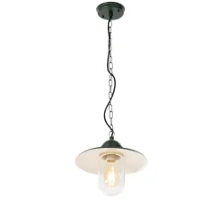 QAZQA hanglampen buiten kansas groen e27 Best