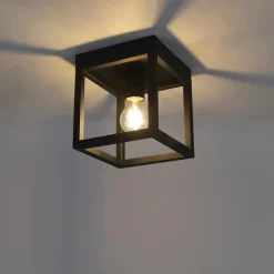 QAZQA plafondlampen cage zwart e27