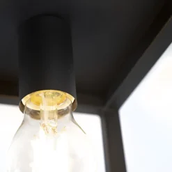QAZQA plafondlampen cage zwart e27