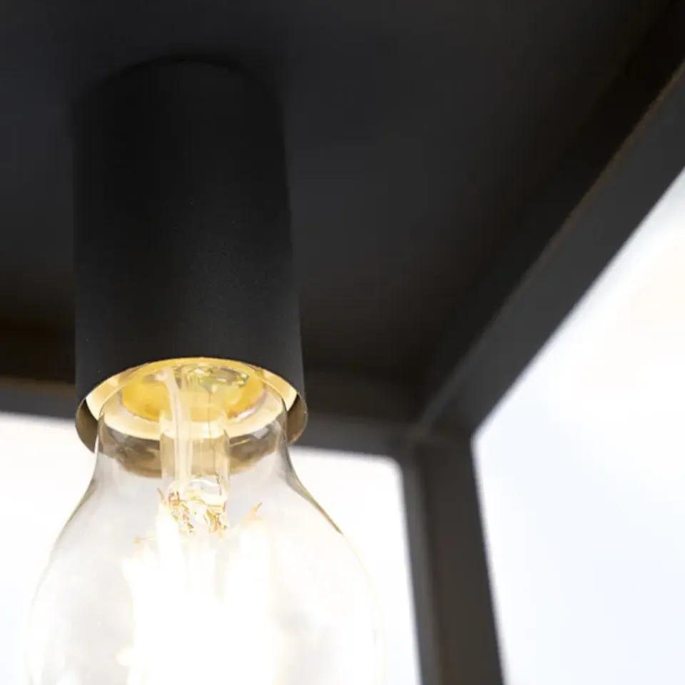 QAZQA plafondlampen cage zwart e27