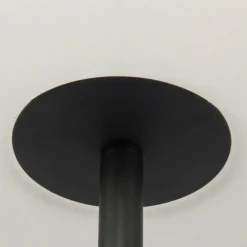 QAZQA staande buitenlampen virginia zwart e27 Best