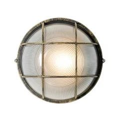 QAZQA wandlampen buiten hanneke goudkleurig e27