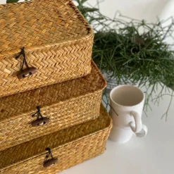 QUVIO Opbergmand - 29 x 19 x 12 cm - Rotan - Bruin Best