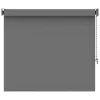 Leen Bakker Rolgordijn verduisterend - grijs - 60x160 cm Online