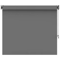 Leen Bakker Rolgordijn verduisterend - grijs - 60x160 cm Online