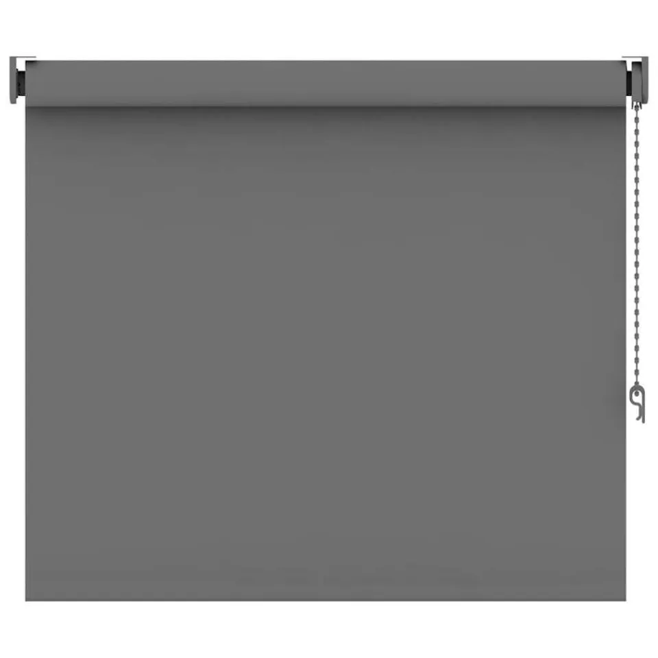 Leen Bakker Rolgordijn verduisterend - grijs - 60x160 cm Online