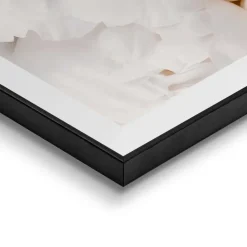 Reinders Schilderij Witte rozen - 70 x 50cm - Wit Online