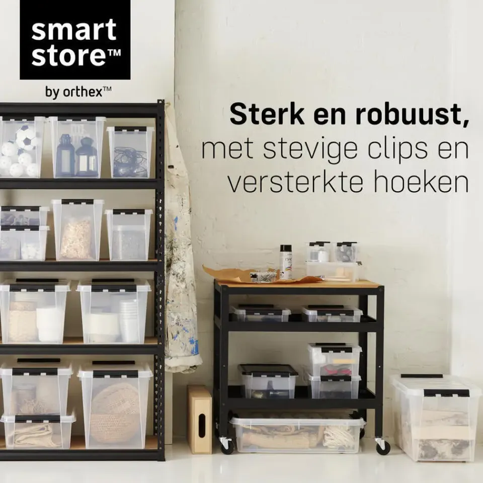 SmartStore Stevige Opbergbox 14L Set van 2 - 40x30x18cm Sale